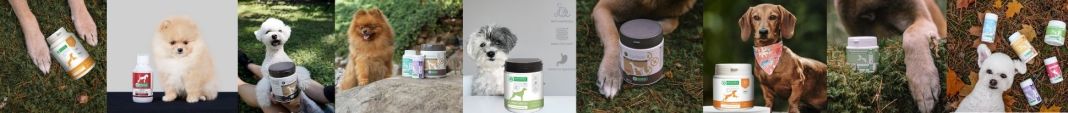 Supplements for skin and fur