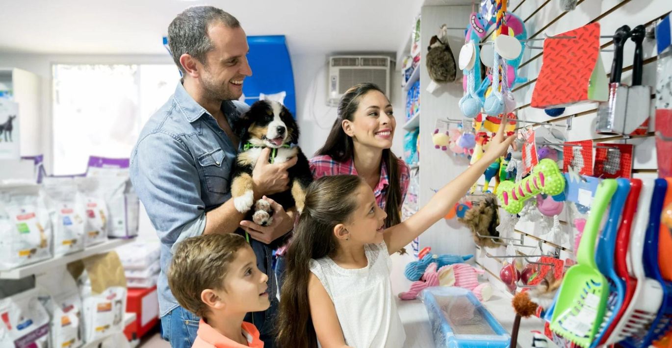 Finding the Right Pet Supplies: Specialty Pet Stores vs Big Box Retailers