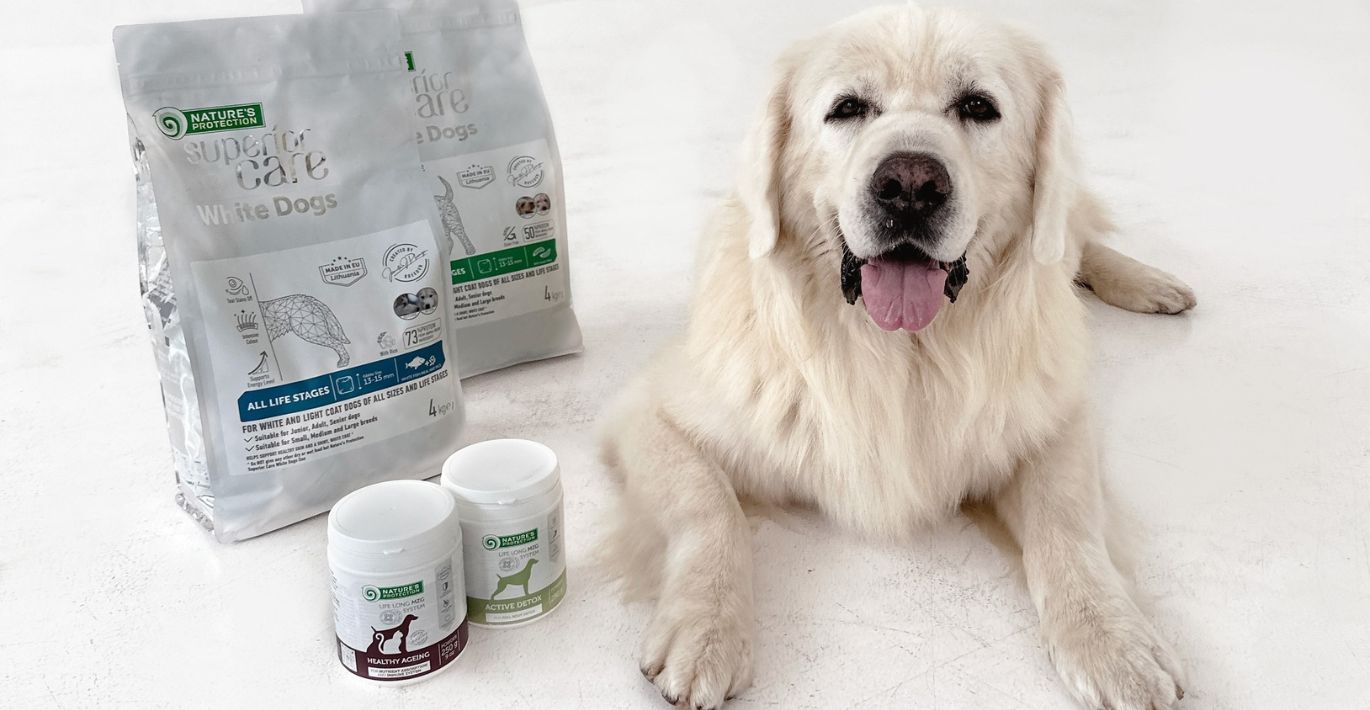 Microzeogen: A Natural Answer for Keeping Your Pet Healthy and Happy