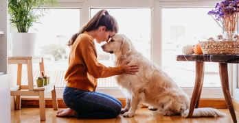 Creating a Pet-Friendly Home Safety Tips and Ideas