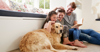 The Best Dog Breeds for Families with Children: How to Choose and Prepare for Your New Pet