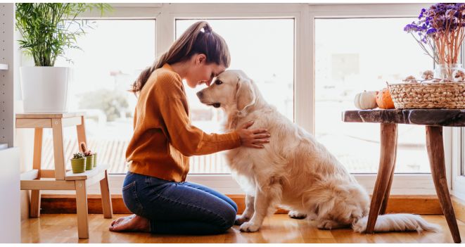 Creating a Pet-Friendly Home Safety Tips and Ideas