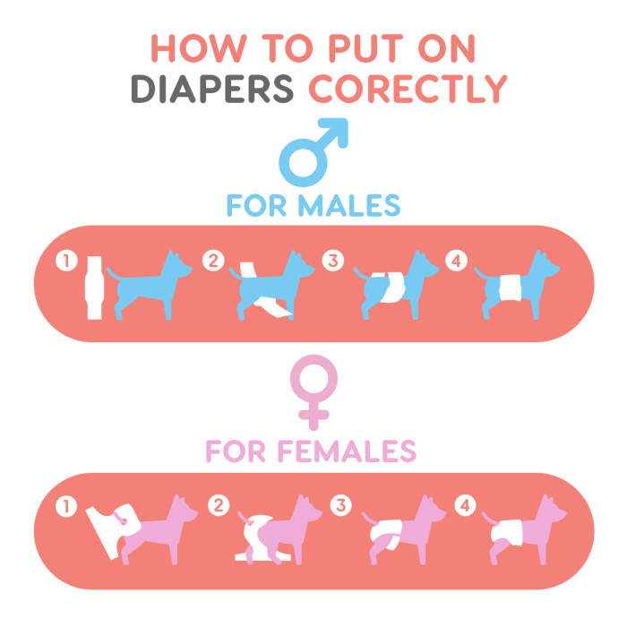 MISOKO reusable diapers for female dogs, with seahorses, pink 