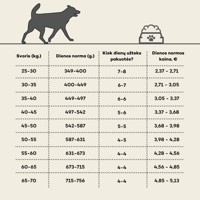 HIQ dry food for adult dogs of large breeds, with salmon  