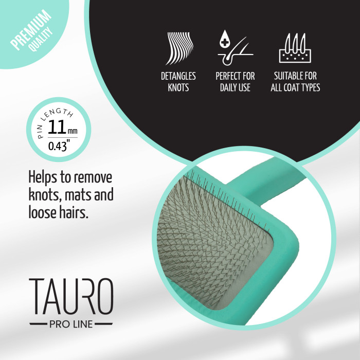 TAURO PRO LINE Brush wooden, rectangular shape 