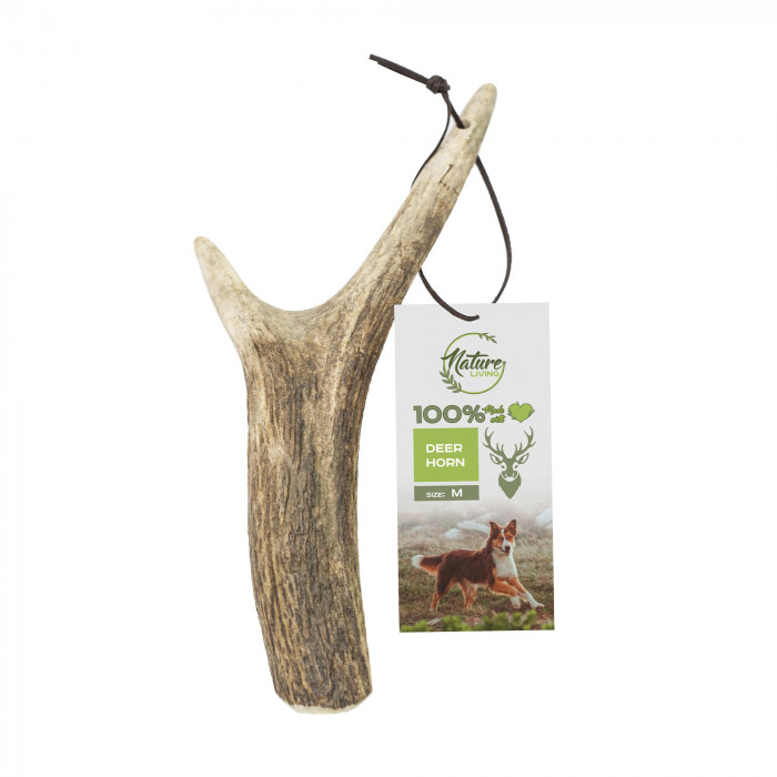 NATURE LIVING Snack for dogs natural deer antler, full 