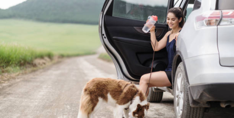 The Ultimate Guide to Traveling with Pets: From Road Trips to Picnics and Everything In Between