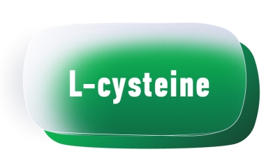 L - cysteine