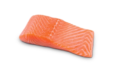 Salmon