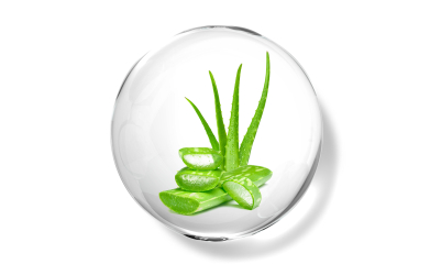 Aloe Vera oil