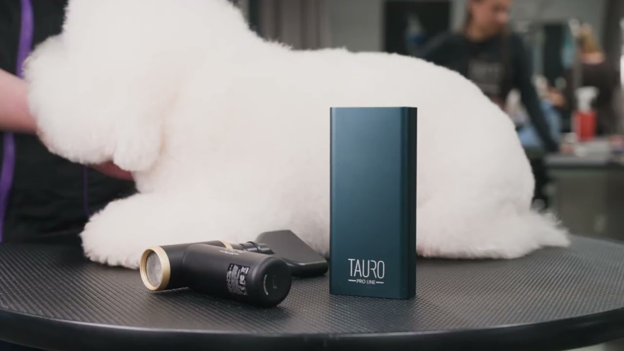 Video TAURO PRO LINE aluminium portable charger (power bank) 22.5 W fast charging, 20000 mAh, grey - 1