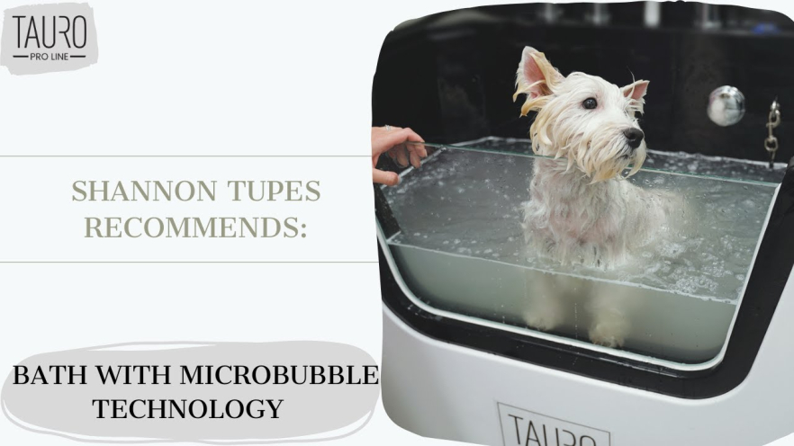 Video TAURO PRO LINE Ozone bath for pets , with MILK SPA program, IONIC technology pink and black - 1