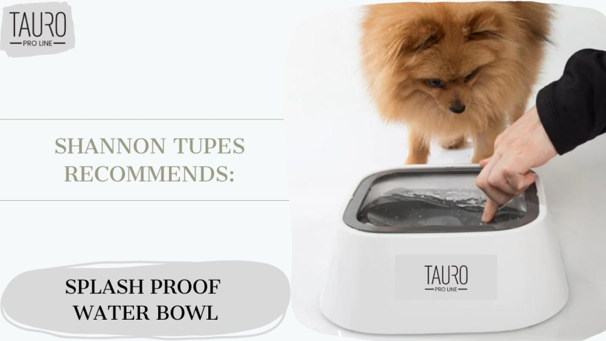 Video TAURO PRO LINE bowl for water 1L, grey - 1