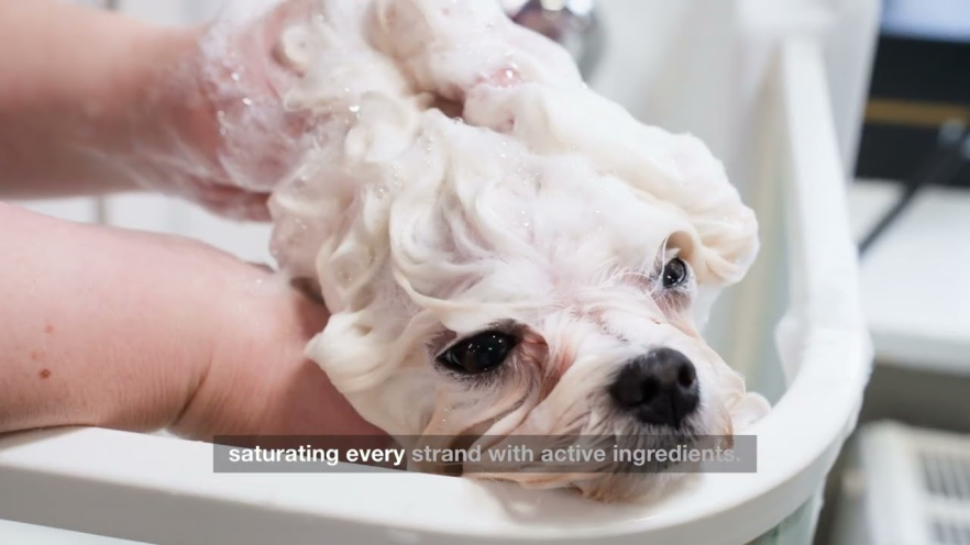 Video TAURO PRO LINE Ultra Natural Care deep clean shampoo for dogs and cats with white, light coat and skin 1000 ml - 1