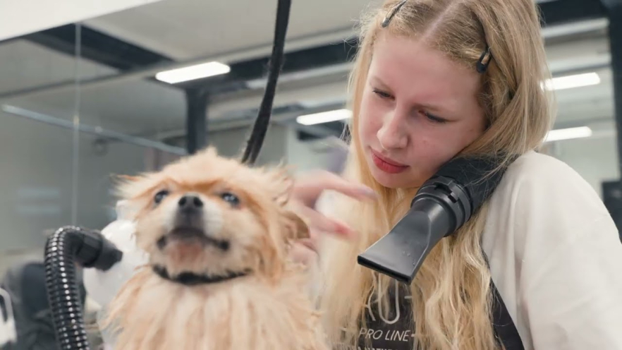 Video TAURO PRO LINE smart pet dryer black and white color, 58x79.5x81.7 cm,  220 V - 1