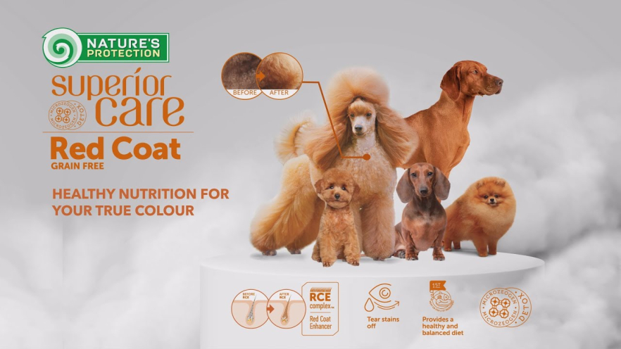 Video NATURE&#039;S PROTECTION SUPERIOR CARE dry food for adult, all breed dogs with red coat with poultry 10 kg - 2