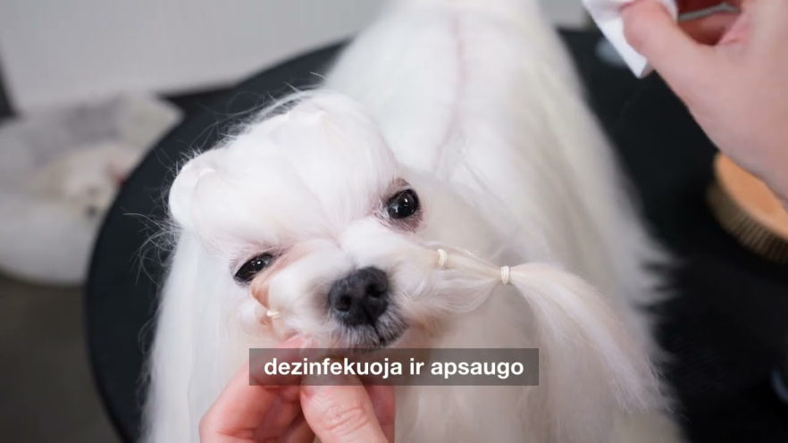 Video TAURO PRO LINE Ultra Natural Care 6in1 Pure Mist, multifunctional product for daily body care 1 l - 1